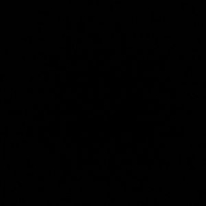 Meet your Posher, Destiny